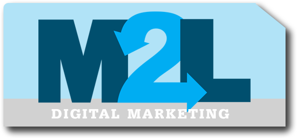 M2L Digital Marketing programme